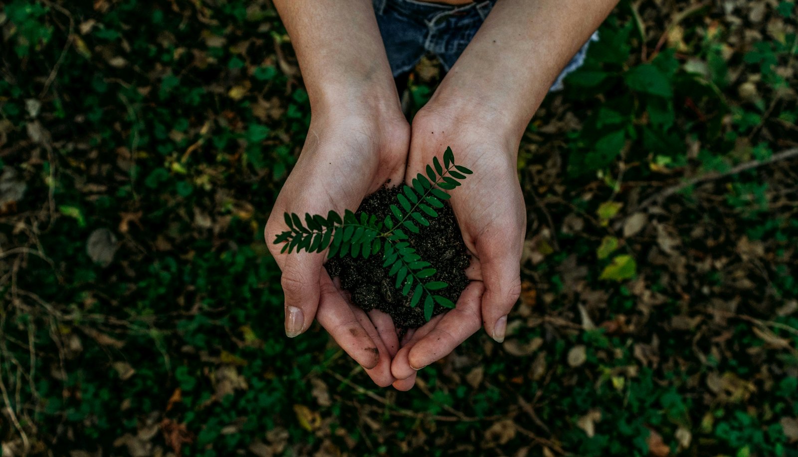 Environment and community conservation work